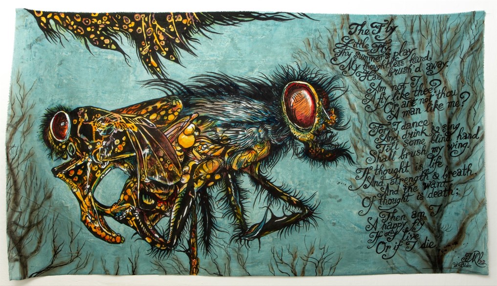 thefly4